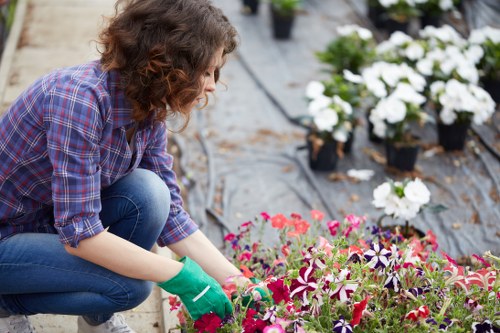 A woman with curly brown hair, wearing a blue and red checkered shirt, blue jeans, and green gardening gloves, is kneeling on the ground in a garden to tend to a variety of flowering plants. In the foreground, she is working on a bed of vibrant pink and purple flowers, carefully pruning or planting, with her hands close to the soil. Behind her, there is a neatly arranged row of potted white flowering plants, positioned on a black mulch ground covering, suggesting a well-maintained outdoor gardening space. The garden features a combination of lush greenery, colorful blooms, and textured soil with natural lighting highlighting the different plant surfaces and tones. This scene exemplifies professional gardening care, including hedge trimming and flower bed maintenance, which Hedge Trimming Hoxton offers, set in a typical outdoor garden environment near Hoxton, London, with clear attention to detail and garden aesthetics.