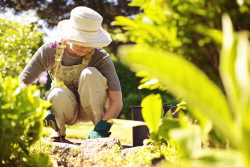 Professional lawn mowing service in Hoxton