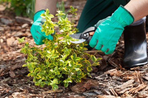 Crew finishing a hedge trimming job with safety signage in place