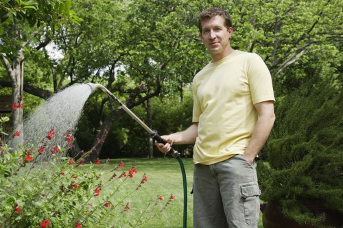 Comprehensive lawn maintenance services