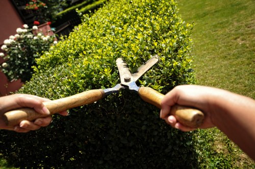 Emergency tree service handling storm damage in Hoxton