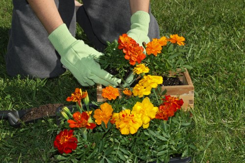 Professional landscaper working in Hoxton