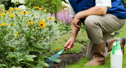 Seasonal lawn care in Hoxton