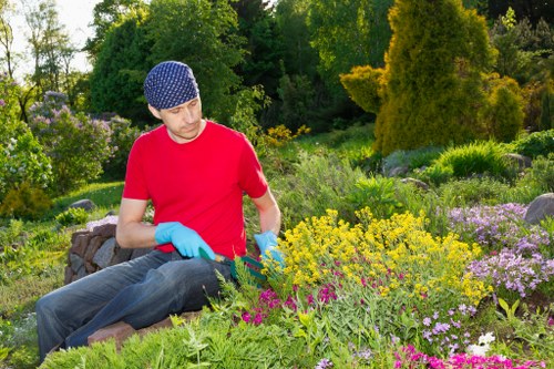 Worker wearing PPE while trimming a tall hedge