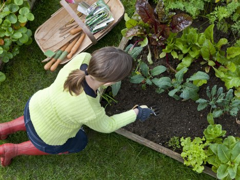 Community members working together in a Hoxton landscape garden.
