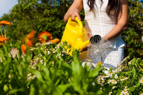 Professional team performing garden clearance in Hoxton